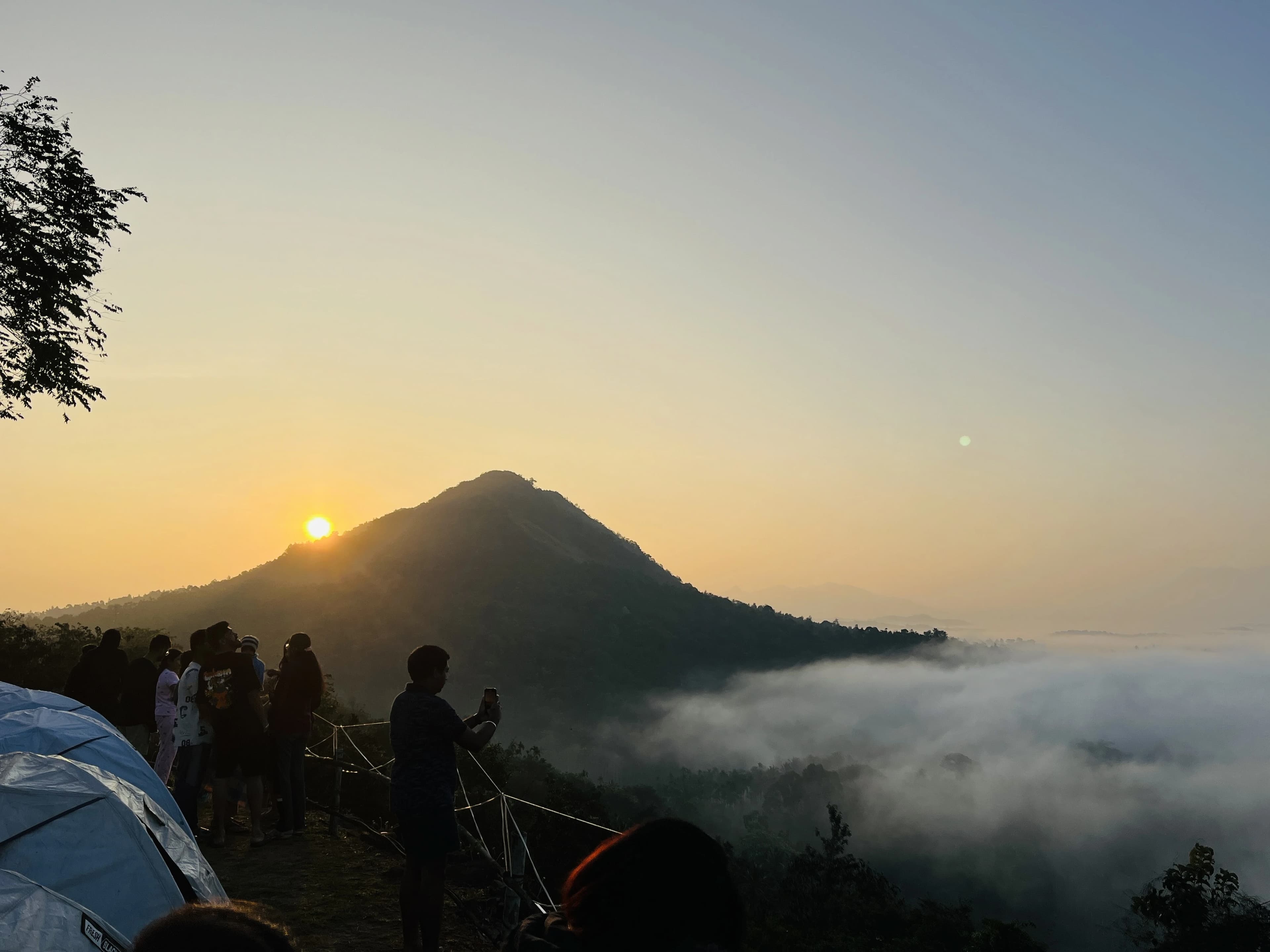 Explore Wayanad: Things to Do, Places to Visit & Travel Tips for First-Time Travellers