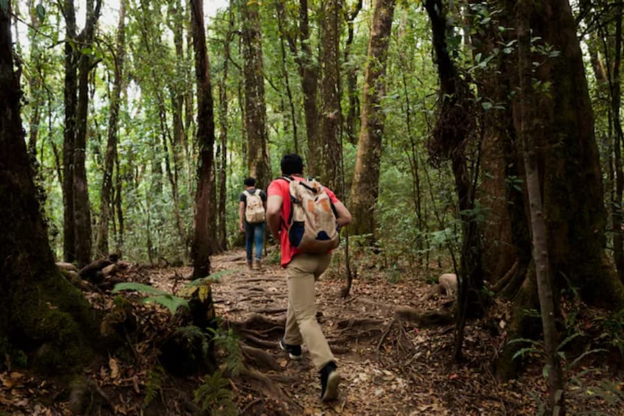 Trekking in the Western Ghats