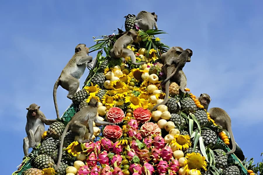 Lopburi Monkey Banquet (Food Festival)