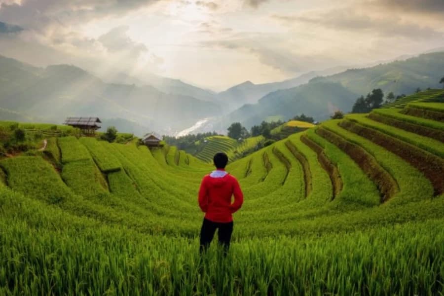 Trek Through Sapa’s Rice Terraces