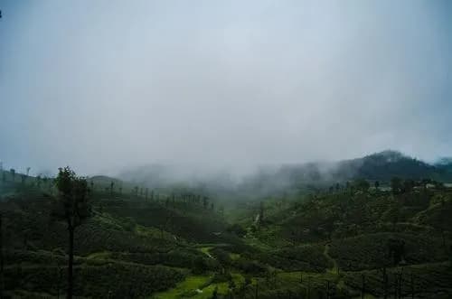 Coorg – Wayanad Cultural Stop