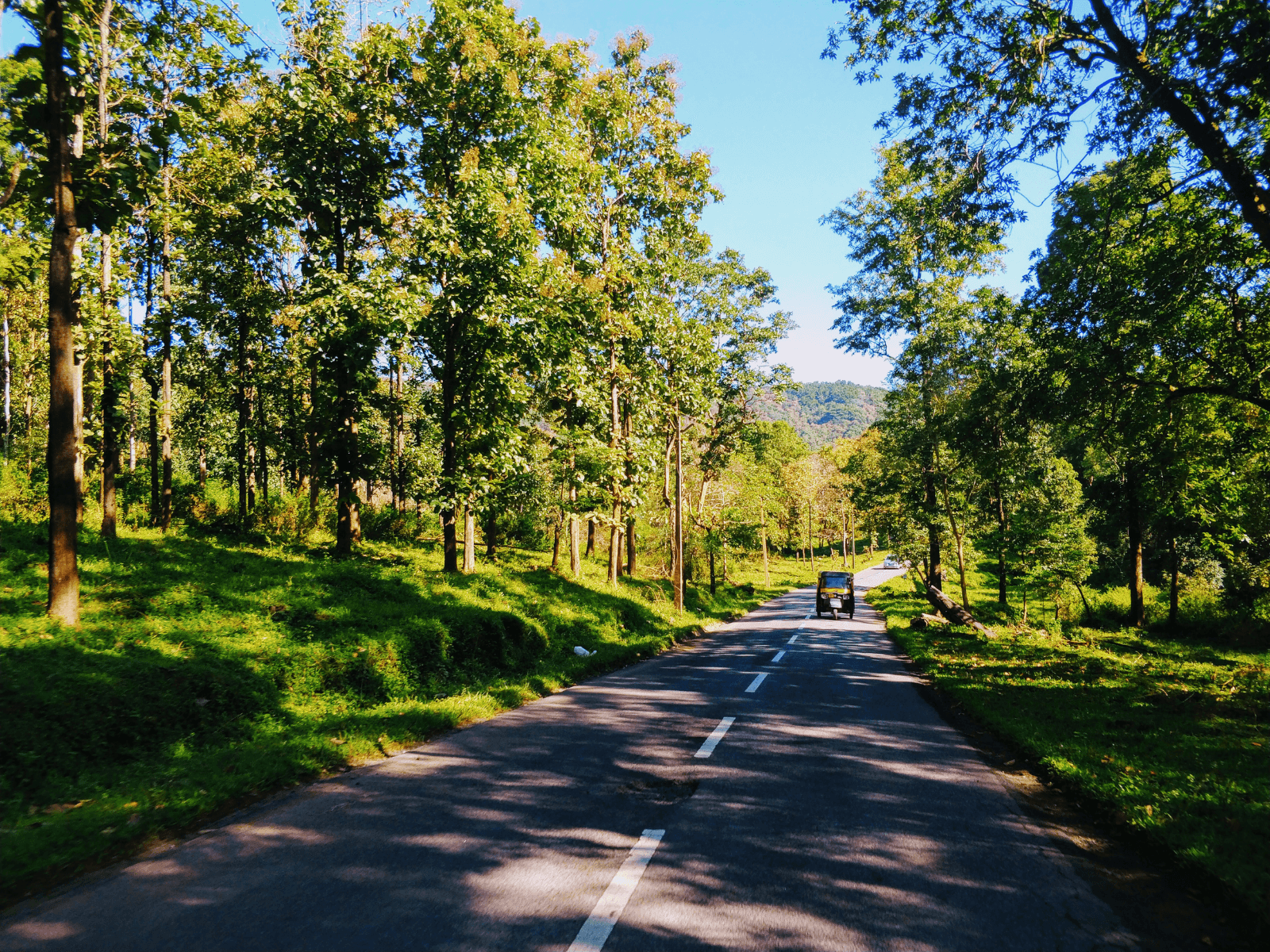 Mysore Coorg Ooty Ultimate Nilgiri Escape