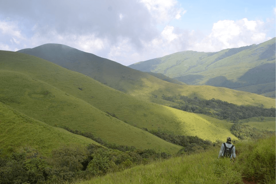 Forest Trails at Kudremukha