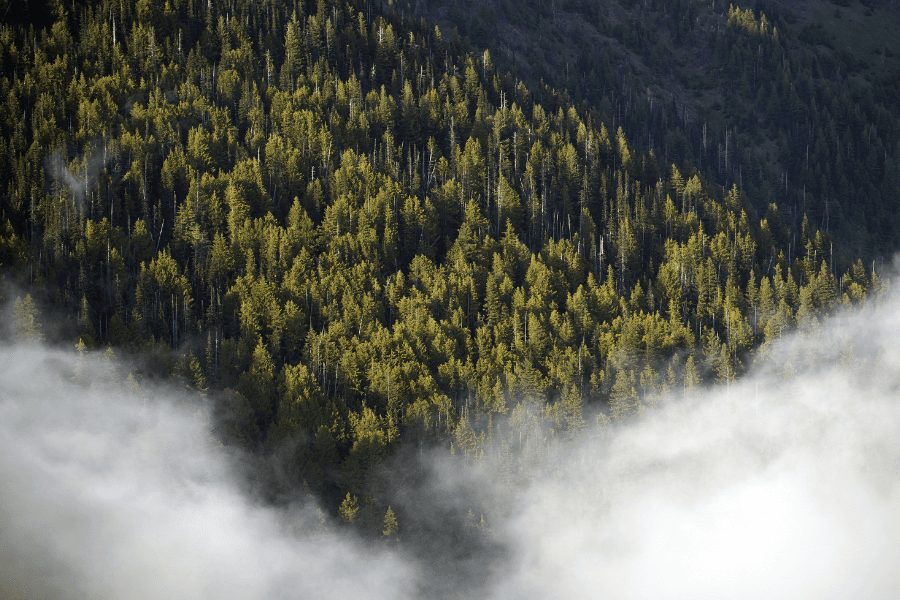 Weather changes quickly in the hills