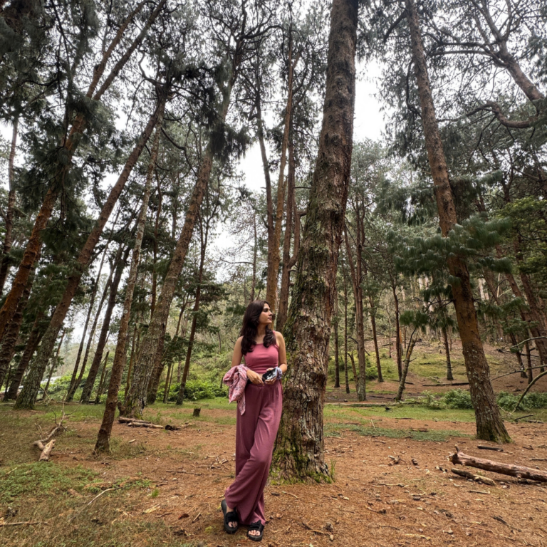 Kodaikanal Nature and Scenic Packages: Romantic Tour Packages